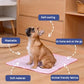 Last Day 50% OFF🔥Stay Cool & Comfy 🧊Dog Cooling Mat (4x more effective)