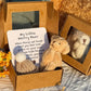 🎁Gift Idea-50% OFF🧸Handmade Mini Plush Teddy Bear in Box