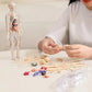 🧑‍🎄🎁Great Gift For Kids🧑‍⚕️Clear Human Body Structure Model