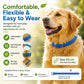 💫Hot Sale-60% OFF🐶Natural Essential Oil Pet Pest Repellent Collar