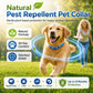 💫Hot Sale-60% OFF🐶Natural Essential Oil Pet Pest Repellent Collar