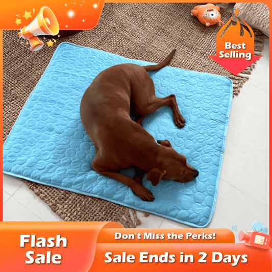 🌞🐱Summer Hot Sale 49% OFF🧊Premium Cooling Mat For Pet🐶