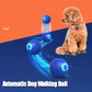 🐾Clearance Sale-60% OFF🐶Pet Bounce Ball