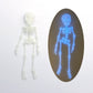 🎃Halloween Hot Sale💥BUY 3 PAY 2🔥💀Spooky Skeleton Fridge Magnet