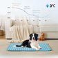 Last Day 50% OFF🔥Stay Cool & Comfy 🧊Dog Cooling Mat (4x more effective)