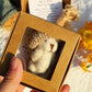 🎁Gift Idea-50% OFF🧸Handmade Mini Plush Teddy Bear in Box