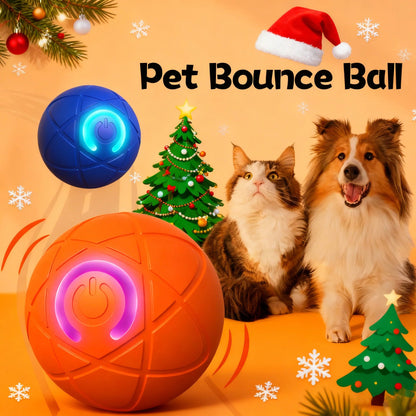 🐾Clearance Sale-60% OFF🐶Pet Bounce Ball