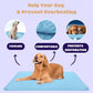Last Day 50% OFF🔥Stay Cool & Comfy 🧊Dog Cooling Mat (4x more effective)