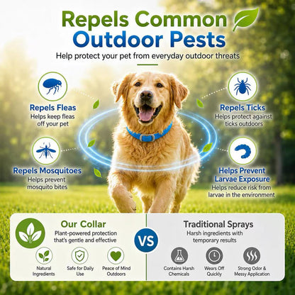 💫Hot Sale-60% OFF🐶Natural Essential Oil Pet Pest Repellent Collar