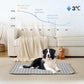 Last Day 50% OFF🔥Stay Cool & Comfy 🧊Dog Cooling Mat (4x more effective)