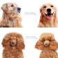 🔥Last Day 60% OFF✨Professional Deshedding Tool For Dogs And Cats🐶🐱