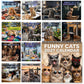 🐱2027 Funny Cats Wall Calendar – Sassy Cats & Hilarious Quotes
