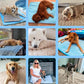 Last Day 50% OFF🔥Stay Cool & Comfy 🧊Dog Cooling Mat (4x more effective)