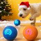🐾Clearance Sale-60% OFF🐶Pet Bounce Ball