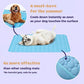 Last Day 50% OFF🔥Stay Cool & Comfy 🧊Dog Cooling Mat (4x more effective)