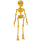 🎃Halloween Hot Sale💥BUY 3 PAY 2🔥💀Spooky Skeleton Fridge Magnet