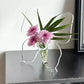 💐2026 HOT SALE-50% OFF🦋 Transparent Butterfly Vase – crystal-clear plastic with a stable base.