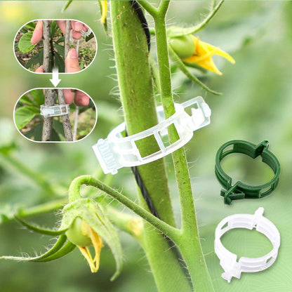 🔥🔥🔥🌱Secured Plastic Plant Clips