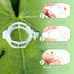 🔥🔥🔥🌱Secured Plastic Plant Clips