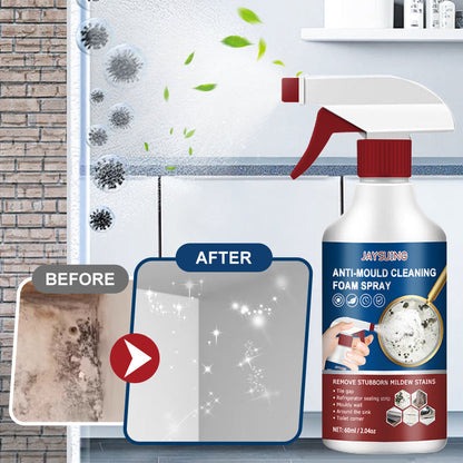 Buy 2 Get 1 Free🔥Foam cleaning mold remover spray