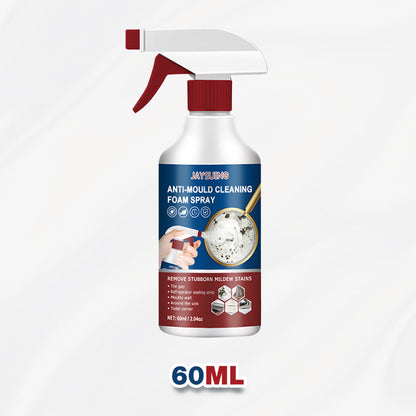 🔥Hot sale ! Foam cleaning mold remover spray