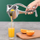 Manual Juice Extractor