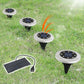 1.65W High Efficiency Solar Panel Charger🔥Free Shipping