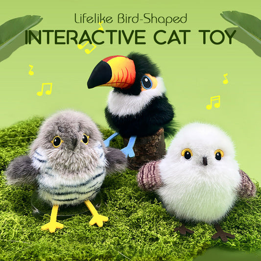 🔥2025 Hot Sale-50% Off🐱Lifelike Bird-Shaped Interactive Cat Toy