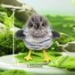 🔥2025 Hot Sale-50% Off🐱Lifelike Bird-Shaped Interactive Cat Toy