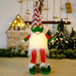 Mega Sale 55% OFF🥳 Faceless Christmas Gnome Doll Lights Hanging Ornament