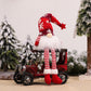 Mega Sale 55% OFF🥳 Faceless Christmas Gnome Doll Lights Hanging Ornament