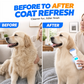 🔥Hot Sale 50% OFF🔥🐾Electric Flea Comb for Pets – USB Rechargeable, Fine Teeth, Chemical-Free 🐾